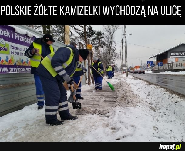 Polskie Żółte Kamizelki