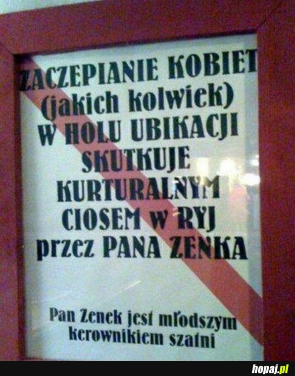 PAN ZENEK