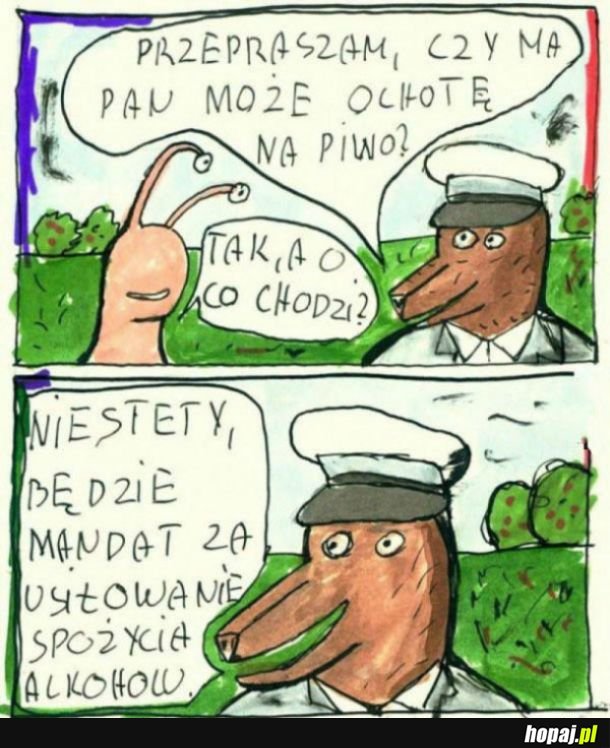 Wpadłeś koleżko