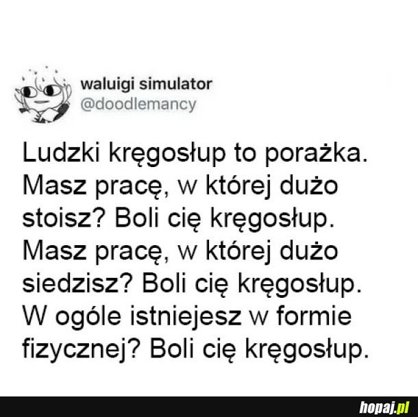 Kręgosłup