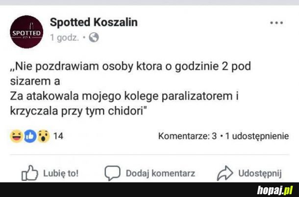  Tymczasem w Koszalinie 