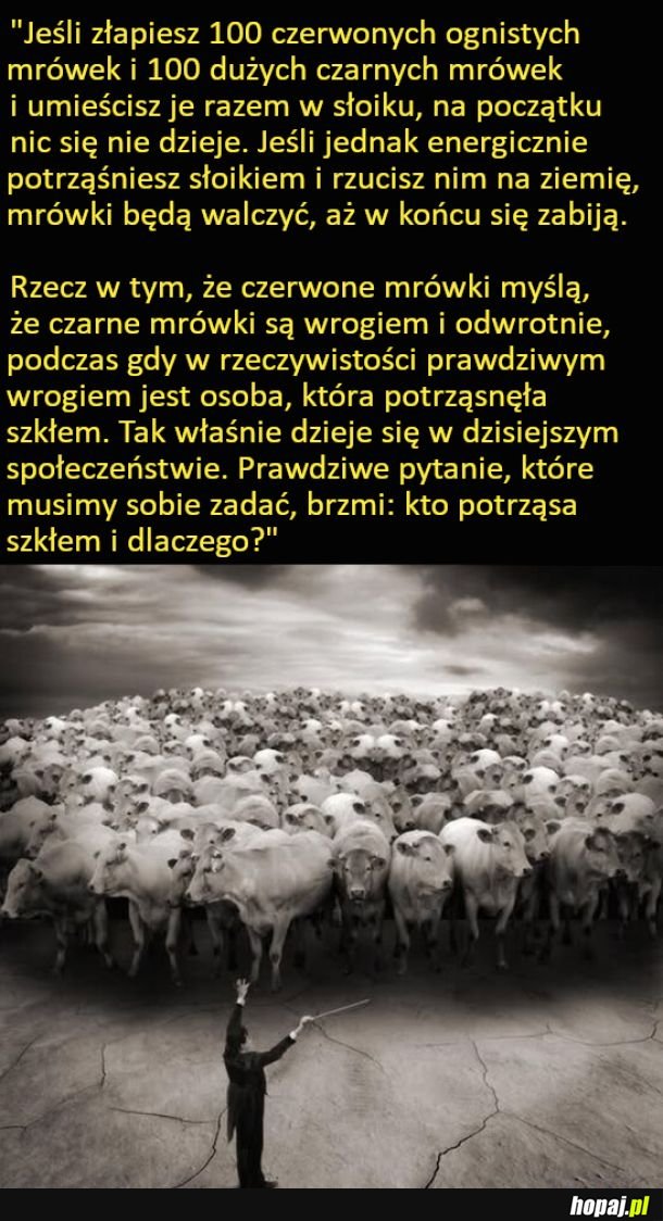 Wizualizacja konfliktu