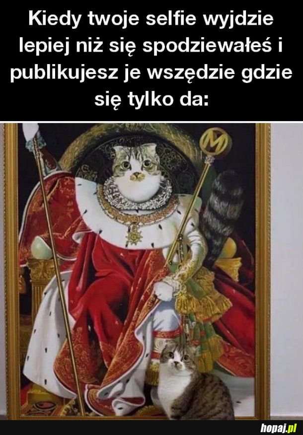 Selfie życia