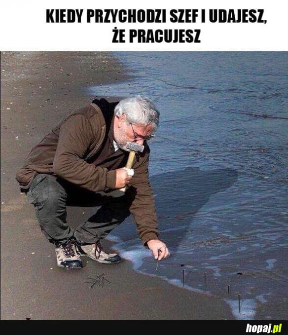 Na plaży