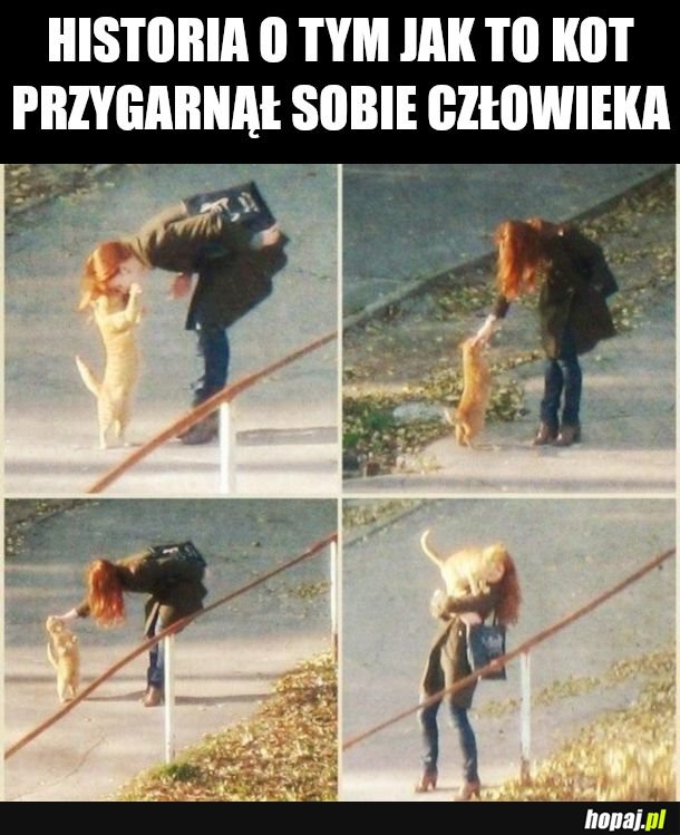 Człowiek