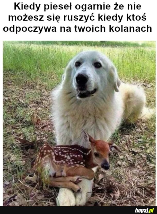 I co, poczujesz się winny jak pójdziesz za potrzebą?