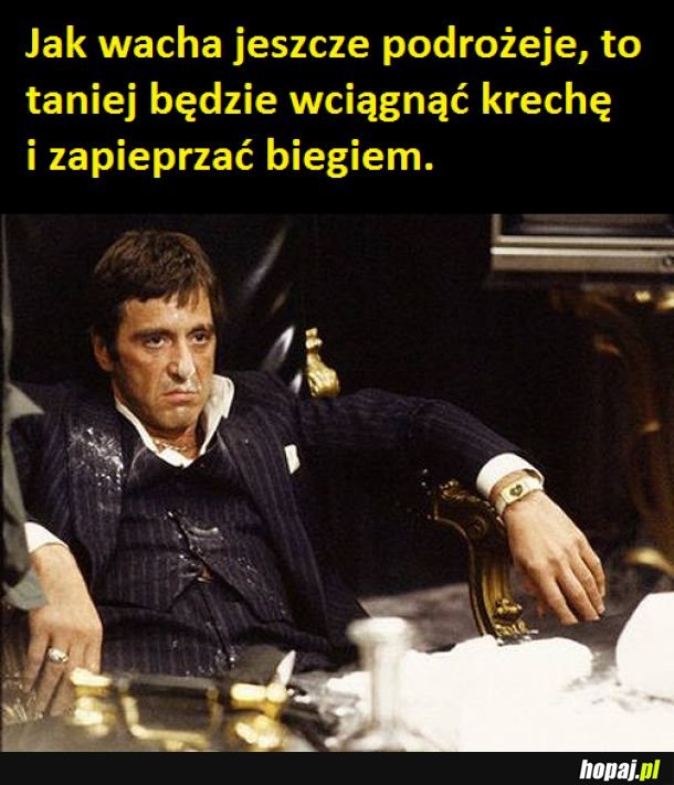 Tony Montana poleca.