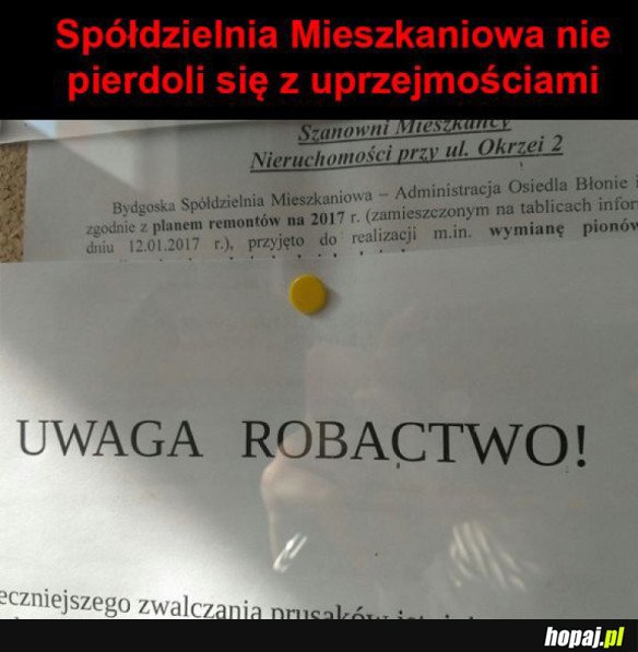 MIŁO I SYMPATYCZNIE