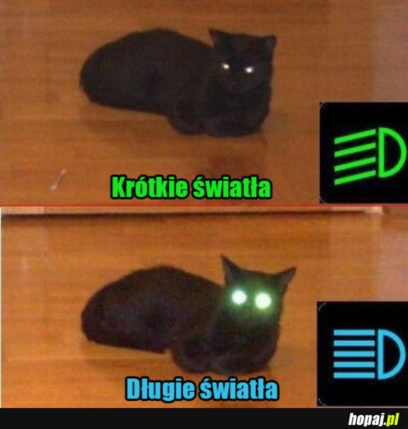 Światła