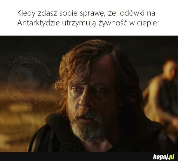 Lodówka