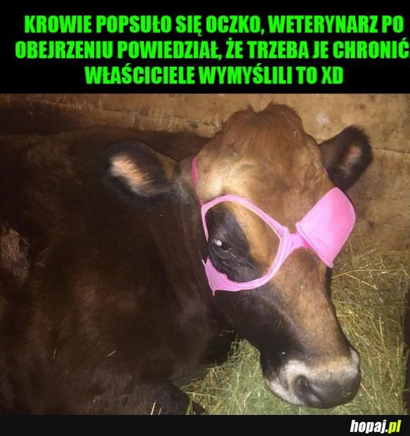 Sprytne podejście