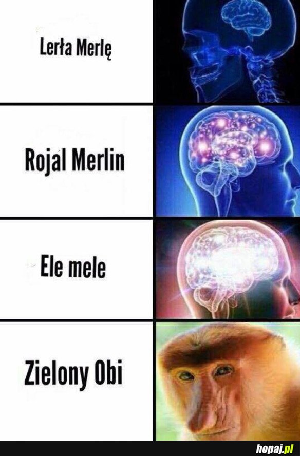 LEROY MERLIN