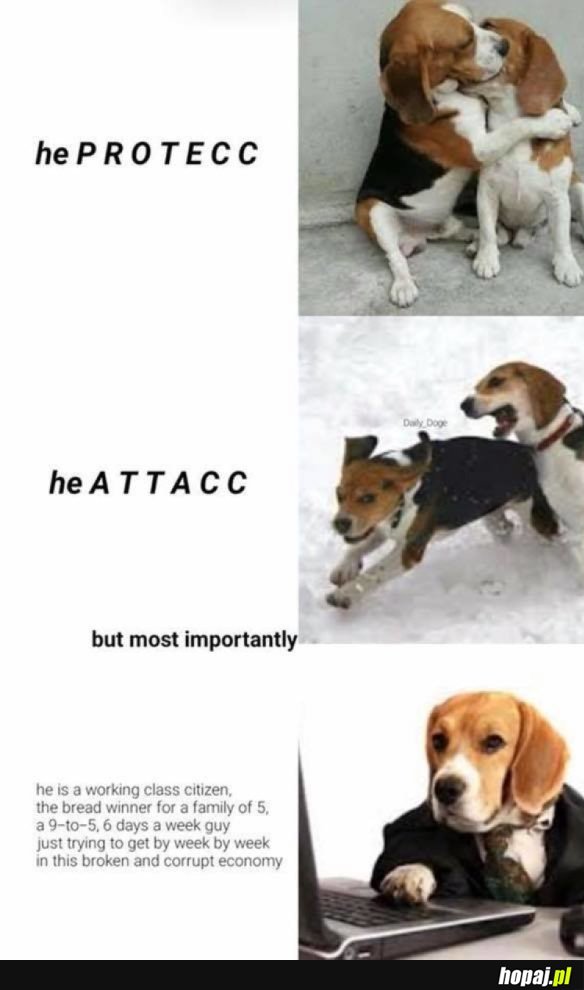 HE PROTECC