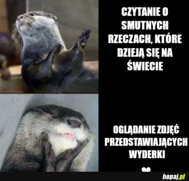 Tak lepiej