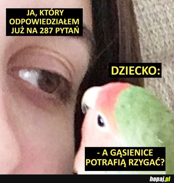 Dziecko