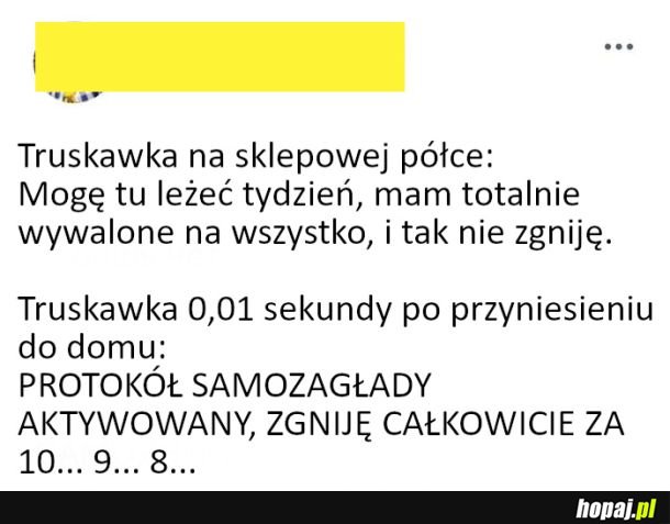 Samozagłada