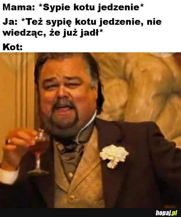 Kot grubasek