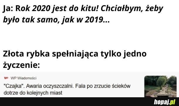 Dziękuję złota rybko!