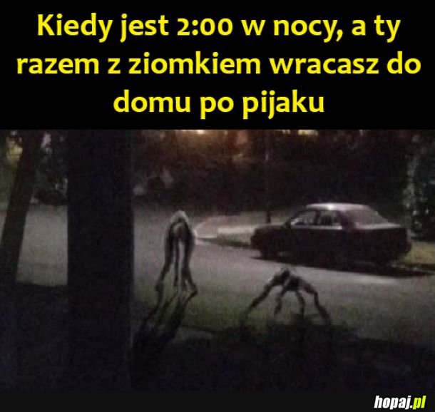 Melanż