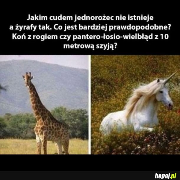 Co jest bardziej prawdopodobne