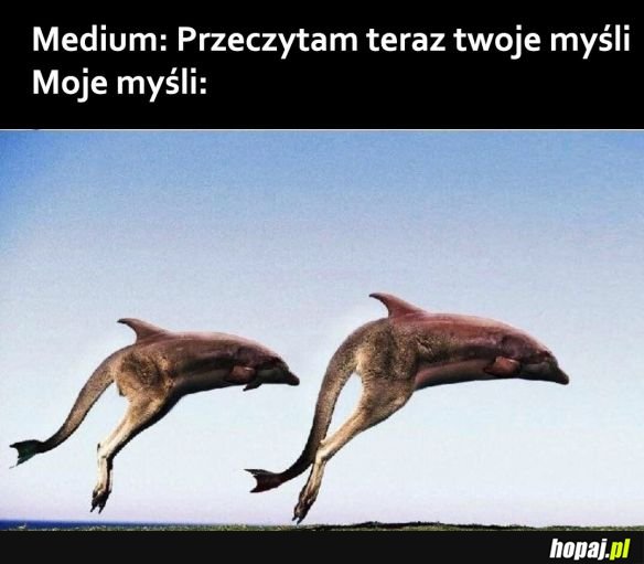 Medium i ja