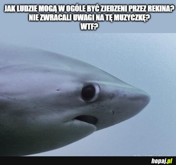 Zjedzenie przez rekina