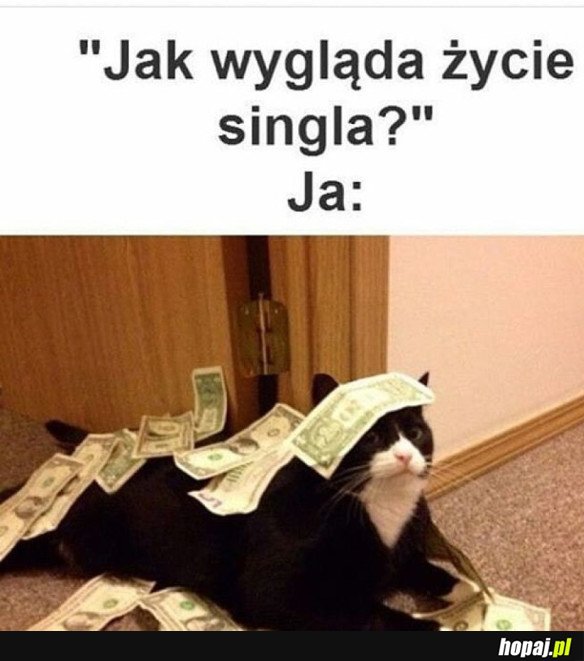 ŻYCIE SINGLA