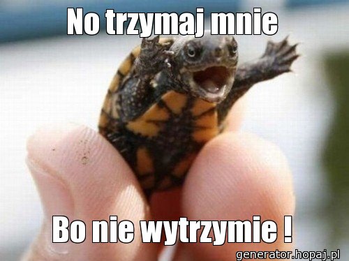 No trzymaj mnie