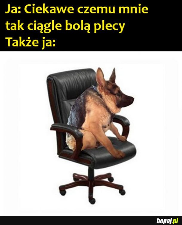 Nie wiem