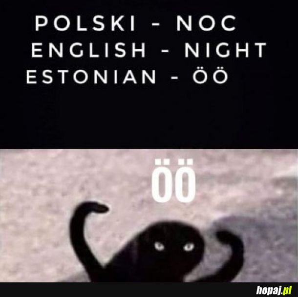 Noc po estońsku