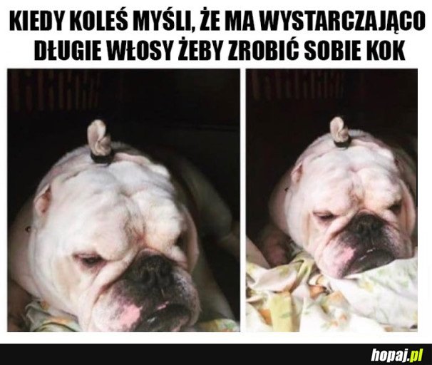 ŁYSINY TAK NIE ZAKRYJE