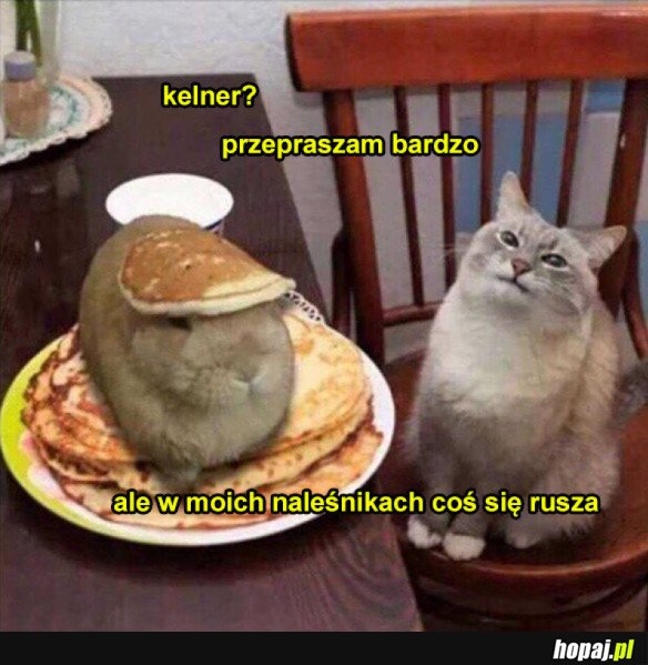 KELNER CO TO MA BYĆ