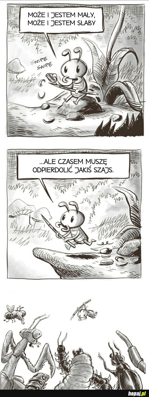 Mróweczka