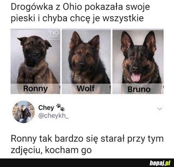 Ronny się postarał