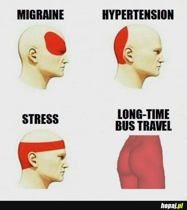 Długa podróż autobusem