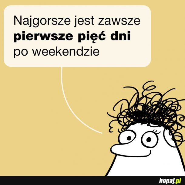 Jeszcze tylko 5 dni