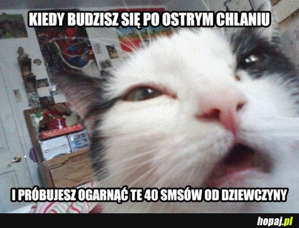 KIEDY BUDZISZ SIĘ PO OSTRYM CHLANIU