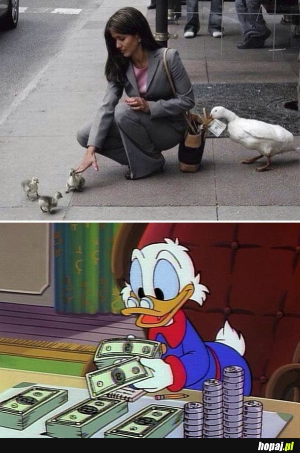 Kaczor Donald