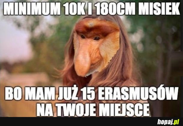 Logika karyn