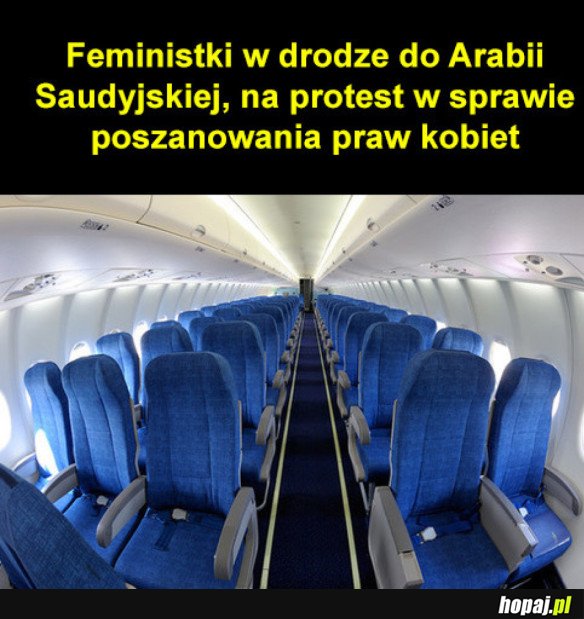 FEMINISTKI LECĄ NA PROTEST
