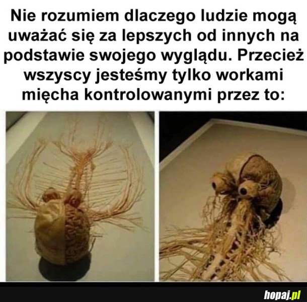 KAŻDY MA TO W SOBIE