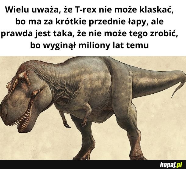 Wciąż uważam, że to przez krótkie łapki