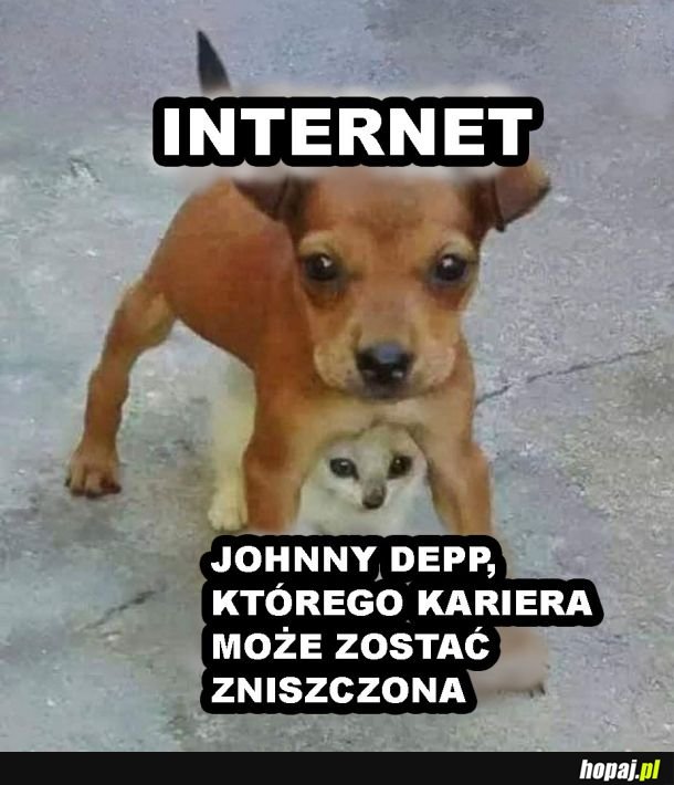 Obrońcy Johnna Deppa