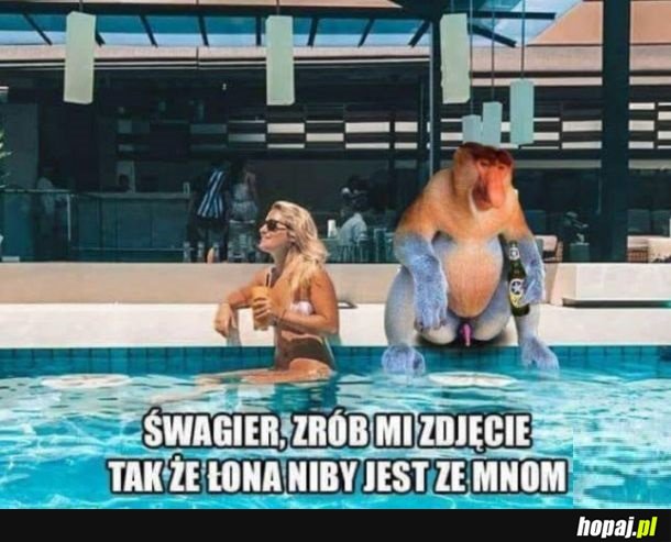 Dawaj szfagier