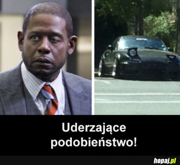PODOBIEŃSTWO