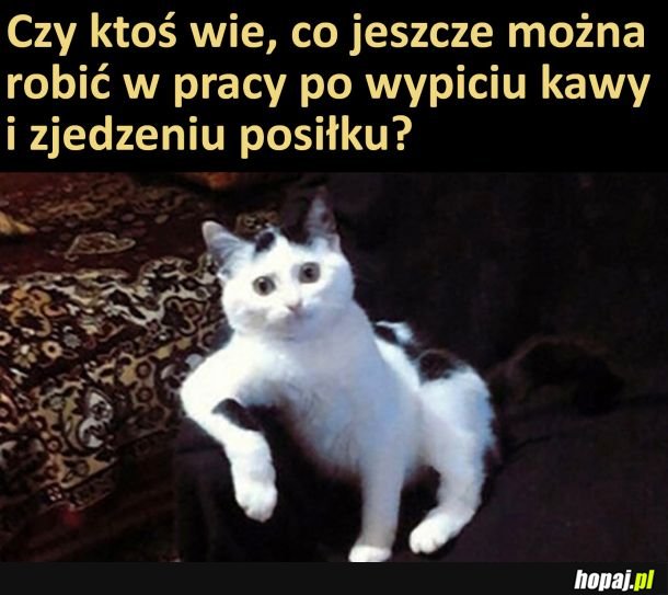 Wie ktoś?