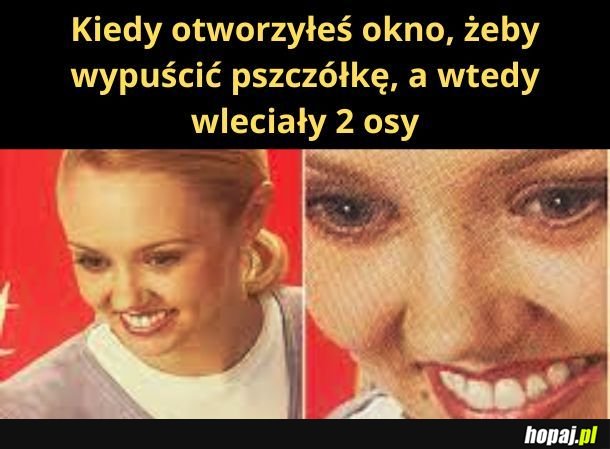 Wylatuj pszczółko!