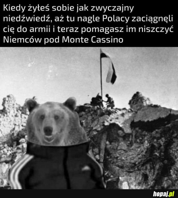 Brawo Wojtek