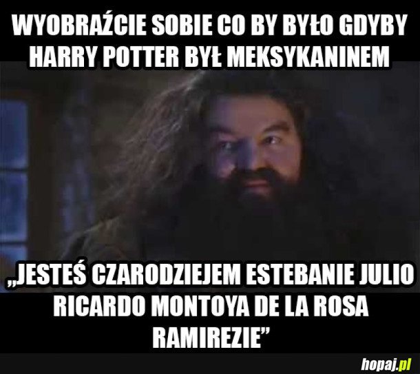 MEKSYKAŃSKI HARRY POTTER