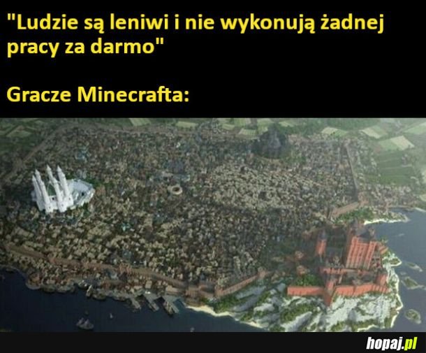 Gracze Minecrafta